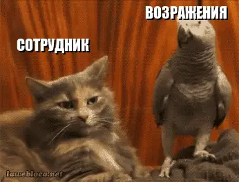 как начать разговор с клиентом