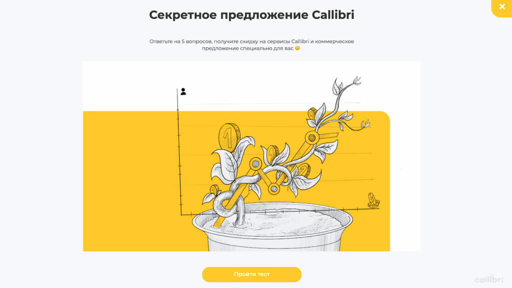 callibri четырнадцать