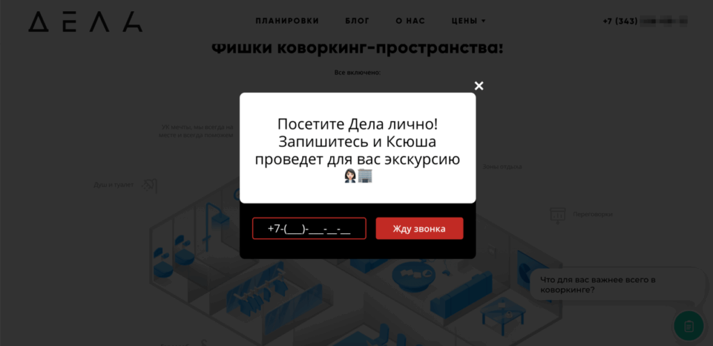 callibri двенадцать