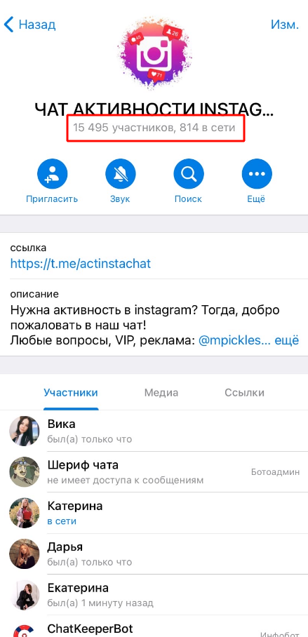 чат активности в инстаграм количество участников