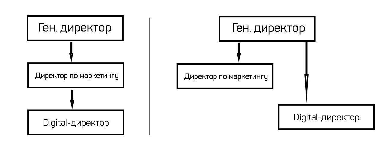 директор по маркетингу структура