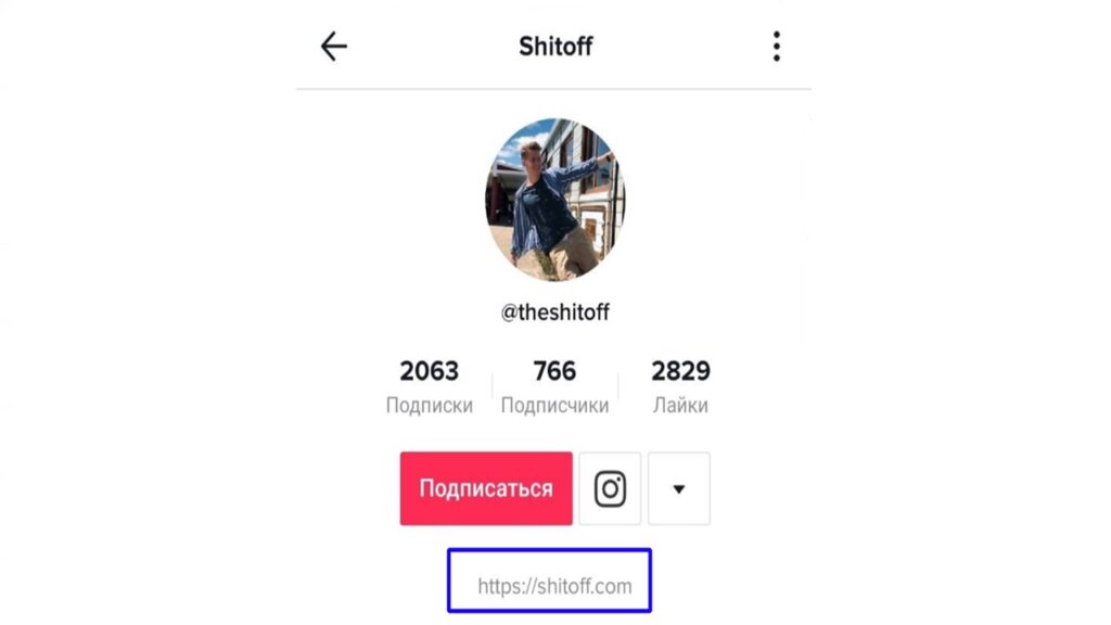 раскрутка tiktok ссылка