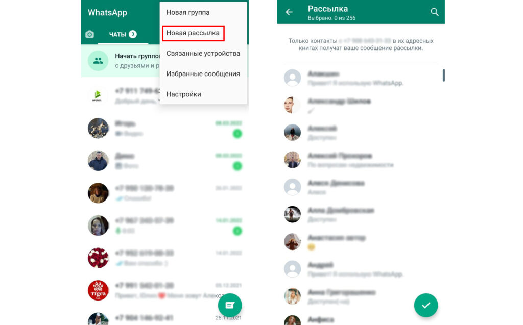 рассылка через функционал whatsapp
